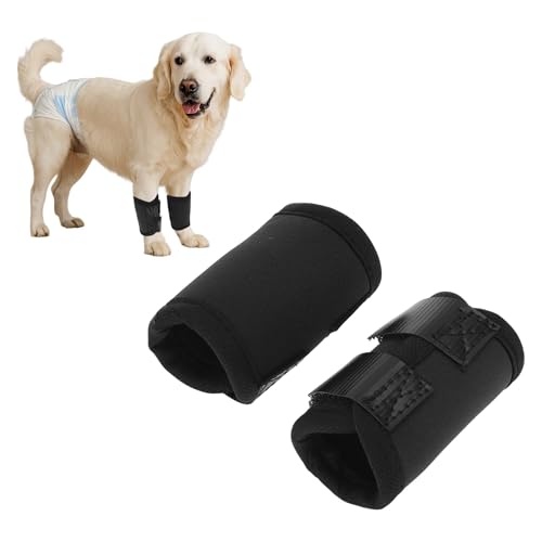 CAPASTEC 1 Paar Hund Vorderbein Gelenkstütze Hock Wrap Hülse, Hund Vorderbein Schiene Knie Schutz Tier Operation Schaden Bandage Wrap Schwarz Klein 4.7 Zoll x 2.5 Zoll CAPASTEC 1 Paar Hund Vorderbein Gelenkstütze Hock Wrap Hülse, Hund Vorderbein Schiene Knie Schutz Tier Operation Schaden Bandage Wrap Schwarz Klein 4.7 Zoll x 2.5 Zoll von CAPASTEC