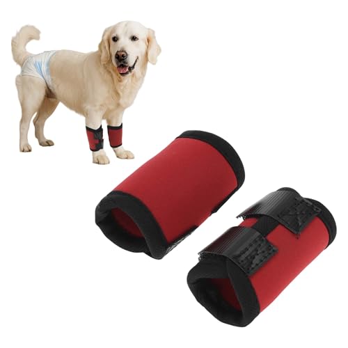 CAPASTEC 1 Paar Hund Vorderbein Gelenkstütze Sprunggelenk Bandage Hülse, Hund Vorderbein Schiene Knie Schutz Tier Operation Schaden Bandage Wickel Rot Klein 4.7 Zoll x 2.5 Zoll CAPASTEC 1 Paar Hund Vorderbein Gelenkstütze Sprunggelenk Bandage Hülse, Hund Vorderbein Schiene Knie Schutz Tier Operation Schaden Bandage Wickel Rot Klein 4.7 Zoll x 2.5 Zoll von CAPASTEC