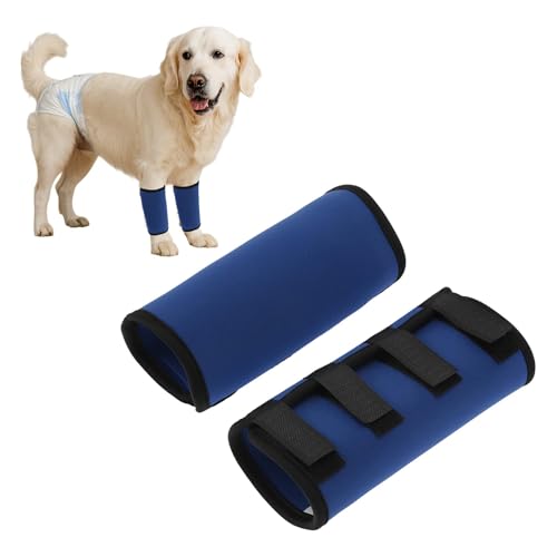 CAPASTEC 1 Paar Hund Vorderbein Gelenkstütze Sprunggelenkbandage Hülse, Hund Vorderbein Schiene Knie Schutz Tier Operation Schaden Bandage Wrap Blau Groß 8.7 Zoll x 6.5 Zoll CAPASTEC 1 Paar Hund Vorderbein Gelenkstütze Sprunggelenkbandage Hülse, Hund Vorderbein Schiene Knie Schutz Tier Operation Schaden Bandage Wrap Blau Groß 8.7 Zoll x 6.5 Zoll von CAPASTEC