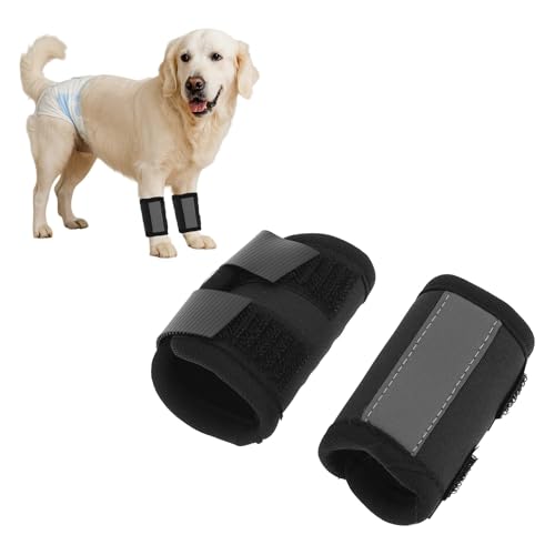 CAPASTEC 1 Paar Hundevorderbein-Gelenkstütze Hock-Wickelmanschette Mit Reflektierendem Streifen, Tierarzt-Operation Schaden Bandage Wickel Schwarz Klein 4.7 Zoll x 2.5 Zoll CAPASTEC 1 Paar Hundevorderbein-Gelenkstütze Hock-Wickelmanschette Mit Reflektierendem Streifen, Tierarzt-Operation Schaden Bandage Wickel Schwarz Klein 4.7 Zoll x 2.5 Zoll von CAPASTEC