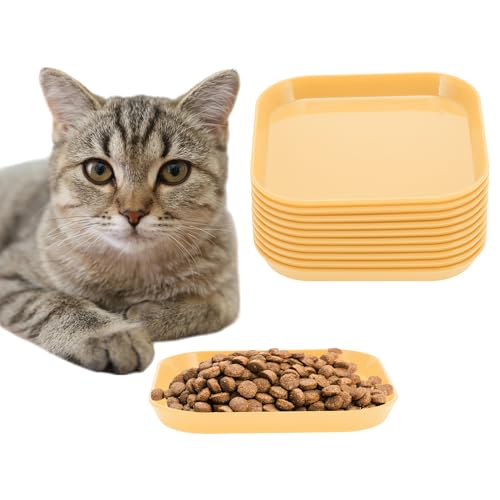 CAPASTEC 10 Stück Flache Katzenschale, Katzenfutter, Fressnapf, Katzenteller, Quadratische Katzenschale, Katzenfressnapf, Katzenschale für Kätzchen und Kurzbeinige Katzen, Gelb von CAPASTEC