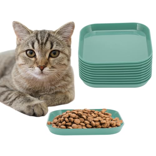 CAPASTEC 10 Stück Flache Katzenschale, Katzenfutter, Fressnapf, Katzenteller, Quadratische Katzenschale, Katzenfressnapf, Katzenschale für Kätzchen und Kurzbeinige Katzen, Grün CAPASTEC 10 Stück Flache Katzenschale, Katzenfutter, Fressnapf, Katzenteller, Quadratische Katzenschale, Katzenfressnapf, Katzenschale für Kätzchen und Kurzbeinige Katzen, Grün von CAPASTEC