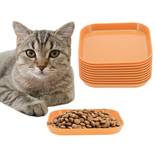 CAPASTEC 10 Stück Flache Katzenschale, Katzenfutter, Fressnapf, Katzenteller, Quadratische Katzenschale, Katzenfressnapf, Katzenschale für Kätzchen und Kurzbeinige Katzen, Orange CAPASTEC 10 Stück Flache Katzenschale, Katzenfutter, Fressnapf, Katzenteller, Quadratische Katzenschale, Katzenfressnapf, Katzenschale für Kätzchen und Kurzbeinige Katzen, Orange von CAPASTEC