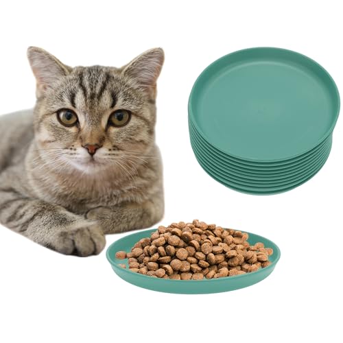CAPASTEC 10 Stück Flache Katzenschale, Katzenfutter, Fressnapf, Katzenteller, Runde Katzenschale, Katzenfressnapf, Katzenschale für Kätzchen und Kurzbeinige Katzen, Grün von CAPASTEC