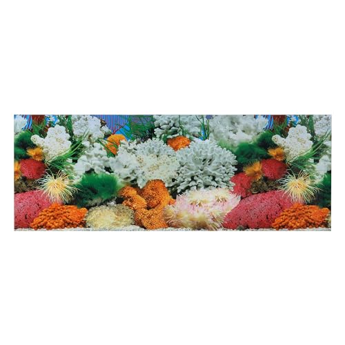 CAPASTEC Aquarium-Hintergrund-Poster, doppelseitig, Meereskorallenfische, Hintergrunddekor-Aufkleber für Aquarium, 102 x 40 cm (mehrfarbig) von CAPASTEC