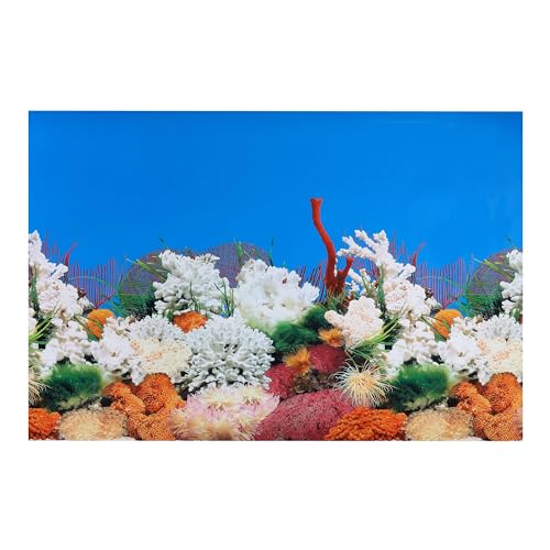 CAPASTEC Aquarium-Hintergrund-Poster, doppelseitig, Meereskorallenfische, Hintergrunddekor-Aufkleber für Aquarium, 122 x 80 cm, mehrfarbig von CAPASTEC