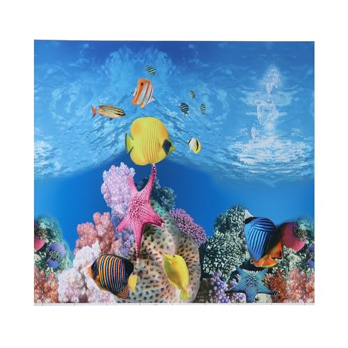 CAPASTEC Aquarium-Hintergrund-Poster, doppelseitig, Meereskorallenfische, Hintergrunddekor-Aufkleber für Aquarium, 32 x 30 cm, mehrfarbig von CAPASTEC