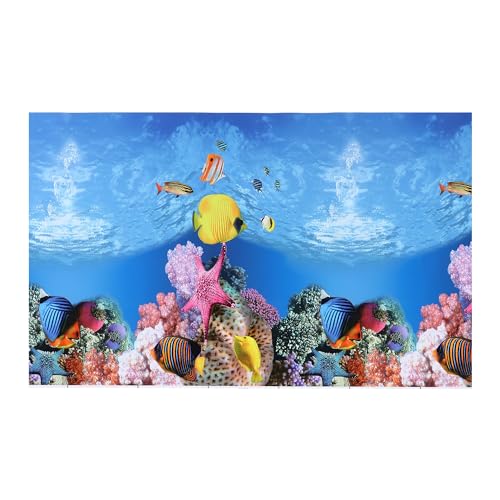 CAPASTEC Aquarium-Hintergrund-Poster, doppelseitig, Meereskorallenfische, Hintergrunddekor-Aufkleber für Aquarium, 62 x 40 cm (mehrfarbig) von CAPASTEC