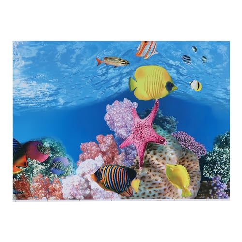 CAPASTEC Aquarium-Hintergrund-Poster, doppelseitig, Meereskorallenfische, Hintergrunddekor-Aufkleber für Aquarium, 62 x 50 cm (mehrfarbig) von CAPASTEC