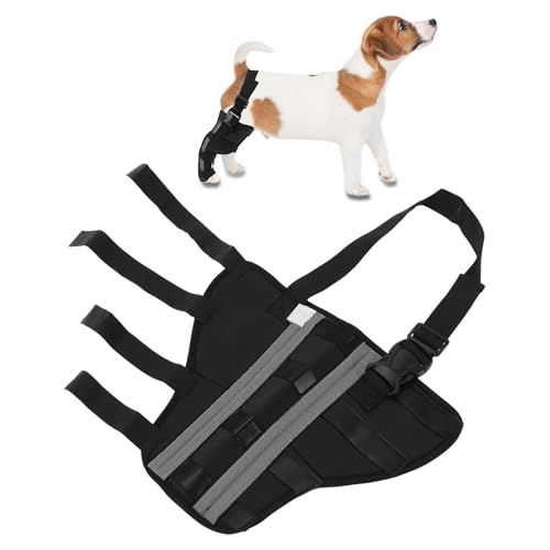CAPASTEC Dog Right Hinds Leg Support, Unterstützungsgelenkbandagen Knieschützer Für Hundebeine Erholung Nach Haustieroperationen, Knieschützer Unterstützung Für Hinterbeine, M, Schwarz CAPASTEC Dog Right Hinds Leg Support, Unterstützungsgelenkbandagen Knieschützer Für Hundebeine Erholung Nach Haustieroperationen, Knieschützer Unterstützung Für Hinterbeine, M, Schwarz von CAPASTEC
