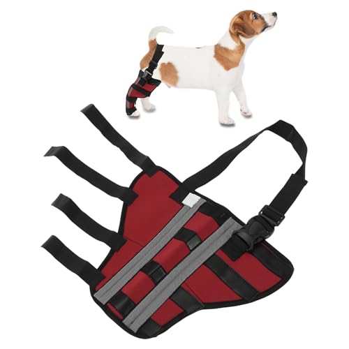 CAPASTEC Dog Right Hinds Leg Support, Unterstützungsgelenkbandagen Knieschützer Für Hundebeine Genesung Haustieroperationen, Stabile Knieschützer Unterstützung Für Hinterbeine, XS, Rot CAPASTEC Dog Right Hinds Leg Support, Unterstützungsgelenkbandagen Knieschützer Für Hundebeine Genesung Haustieroperationen, Stabile Knieschützer Unterstützung Für Hinterbeine, XS, Rot von CAPASTEC