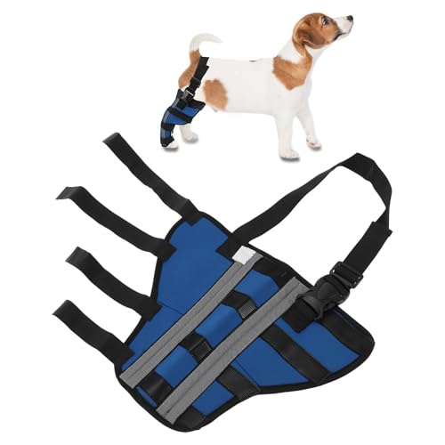 CAPASTEC Dog Right Hinds Leg Support Atmungsfähige Stützbandagen Kniepolster Für Hundebeine Genesung Nach Haustieroperationen Stabile Kniepolsterstütze Für Hinterbeine M Blau von CAPASTEC