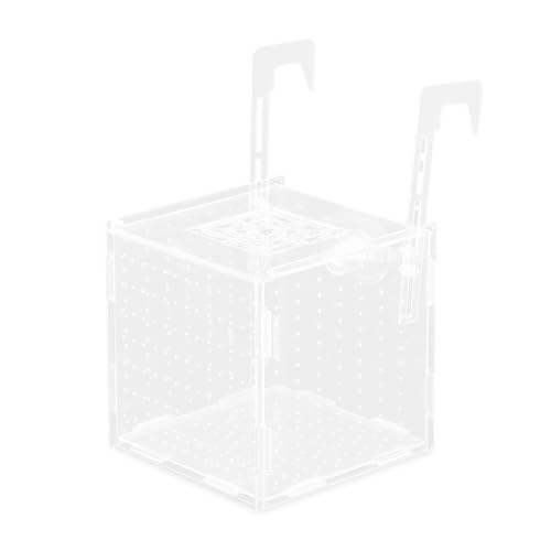 CAPASTEC Fischzüchterbox für Aquarien, Acryl-Trennwand, einfach zu installieren, 15 x 15 x 15 cm, transparent, 1 Set von CAPASTEC
