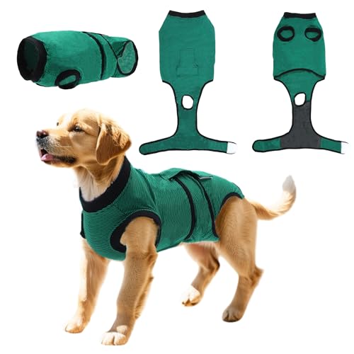 CAPASTEC Haustier-Recovery-Anzug für Hunde und Katzen nach Operationen, Grün XL CAPASTEC Haustier-Recovery-Anzug für Hunde und Katzen nach Operationen, Grün XL von CAPASTEC