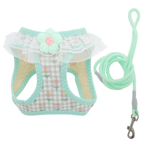 CAPASTEC Hundegeschirr Und Leine Set Für Welpen Magic Tapes Haustiergeschirr Verstellbar Leichtes Weiches Geschirr Mit Blumenmuster Für Spaziergänge XXS Grün CAPASTEC Hundegeschirr Und Leine Set Für Welpen Magic Tapes Haustiergeschirr Verstellbar Leichtes Weiches Geschirr Mit Blumenmuster Für Spaziergänge XXS Grün von CAPASTEC
