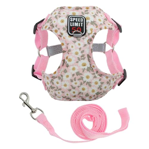 CAPASTEC Hundegeschirr Und Leine Set Mit Reflektierenden Streifen Verstellbares Für Spaziergänge Geschirr Für Kleine Und Mittelgroße Hunde Und Katzen S Pink CAPASTEC Hundegeschirr Und Leine Set Mit Reflektierenden Streifen Verstellbares Für Spaziergänge Geschirr Für Kleine Und Mittelgroße Hunde Und Katzen S Pink von CAPASTEC
