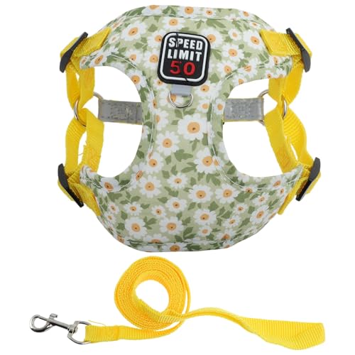 CAPASTEC Hundegeschirr und Leine Set Mit Reflektierendem Streifen Verstellbares Geschirr Für Spaziergänge Geschirr Für Kleine Und Mittlere Hunde Und Katzen XL Gelb CAPASTEC Hundegeschirr und Leine Set Mit Reflektierendem Streifen Verstellbares Geschirr Für Spaziergänge Geschirr Für Kleine Und Mittlere Hunde Und Katzen XL Gelb von CAPASTEC