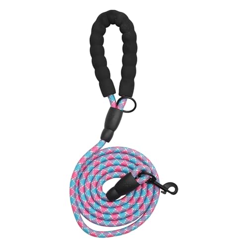 CAPASTEC Hundeleine Mit Bequemem Gepolstertem Griff Und Reflektierenden Fäden Für Kleine Mittelgroße Große Hunde Für Training Spaziergänge Lila Blau 300cm x 10mm CAPASTEC Hundeleine Mit Bequemem Gepolstertem Griff Und Reflektierenden Fäden Für Kleine Mittelgroße Große Hunde Für Training Spaziergänge Lila Blau 300cm x 10mm von CAPASTEC