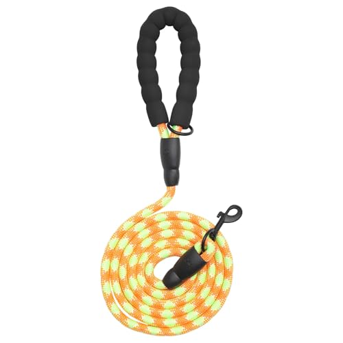 CAPASTEC Hundeleine Mit Bequemem Gepolstertem Griff Und Reflektierenden Fäden Für Kleine Mittelgroße Große Hunde Für Training Spaziergänge Orange Grün 2m x 10mm CAPASTEC Hundeleine Mit Bequemem Gepolstertem Griff Und Reflektierenden Fäden Für Kleine Mittelgroße Große Hunde Für Training Spaziergänge Orange Grün 2m x 10mm von CAPASTEC
