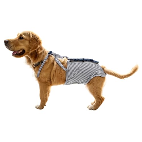 CAPASTEC Hundewindeln, Physiologische Hose mit verstellbarem Riemen, XL, Grau Weiß CAPASTEC Hundewindeln, Physiologische Hose mit verstellbarem Riemen, XL, Grau Weiß von CAPASTEC