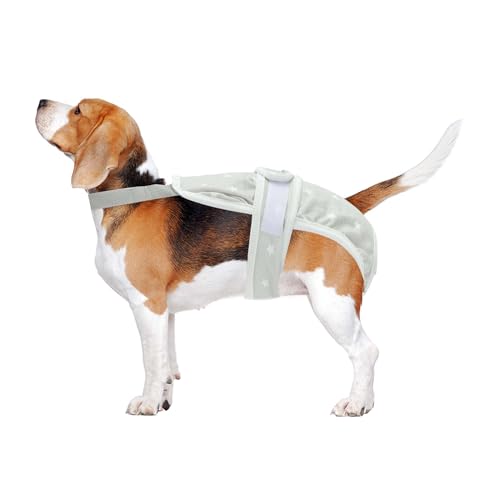 CAPASTEC Hundewindeln Für Weibliche Hunde Periodenwindeln Welpen Physiologische Höschen Haustierunterwäsche Waschbare Wiederverwendbare Hosen Mit Verstellbaren Trägern Grau Groß CAPASTEC Hundewindeln Für Weibliche Hunde Periodenwindeln Welpen Physiologische Höschen Haustierunterwäsche Waschbare Wiederverwendbare Hosen Mit Verstellbaren Trägern Grau Groß von CAPASTEC