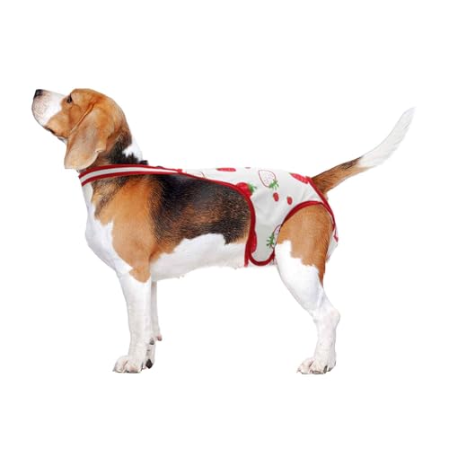 CAPASTEC Hundewindeln Für Weibliche Hunde Periodenwindeln Welpen Physiologische Höschen Haustierunterwäsche Wiederverwendbare Hosen Mit Verstellbaren Trägern Rot Weiß Groß von CAPASTEC