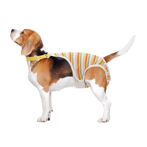 CAPASTEC Hundewindeln für Hündinnen, Periodenwindeln, physiologische Höschen für Welpen, Haustierunterwäsche, waschbare, Wiederverwendbare Hosen mit verstellbarem Hosenträger Gelb L CAPASTEC Hundewindeln für Hündinnen, Periodenwindeln, physiologische Höschen für Welpen, Haustierunterwäsche, waschbare, Wiederverwendbare Hosen mit verstellbarem Hosenträger Gelb L von CAPASTEC