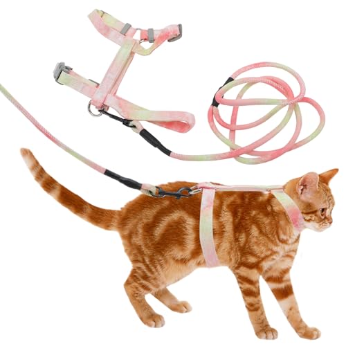 CAPASTEC Katzen-Geschirr und Leine Set,Brustgeschirr Ausbruchsicheres Katzen-Geschirr für große und kleine Katzen, Leichtes Haustier-Geschirr und für Reisen und Spaziergänge, Klein, Orange von CAPASTEC