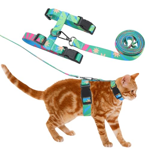 CAPASTEC Katzen-Geschirr und Leine Set,Brustgeschirr Ausbruchsicheres Katzen-Geschirr für große und kleine Katzen, Leichtes Weiches Haustier-Geschirr für Reisen und Spaziergänge, Grün von CAPASTEC
