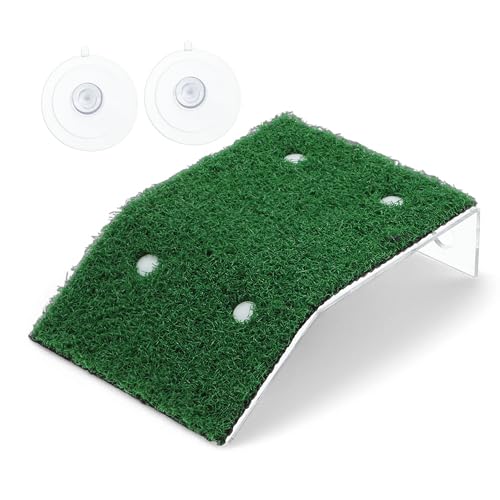 CAPASTEC Kleine Schildkröte Sonnenplattform Simulation Gras, Schildkröte Ruhen Basking Dock Dekoration, Natürliche Reptilienrampe für Schildkrötenlebensraum, Grün CAPASTEC Kleine Schildkröte Sonnenplattform Simulation Gras, Schildkröte Ruhen Basking Dock Dekoration, Natürliche Reptilienrampe für Schildkrötenlebensraum, Grün von CAPASTEC