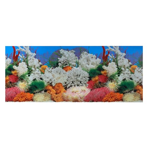 CAPASTEC PVC-Hintergrund für Aquarium, doppelseitig, Meereskorallenfische, Hintergrunddekor-Aufkleber für Aquarium, 122 x 50 cm, mehrfarbig von CAPASTEC
