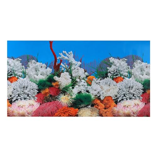 CAPASTEC PVC-Hintergrund für Aquarium, doppelseitig, Meereskorallenfische, Hintergrunddekor-Aufkleber für Aquarium, 122 x 60 cm, mehrfarbig von CAPASTEC