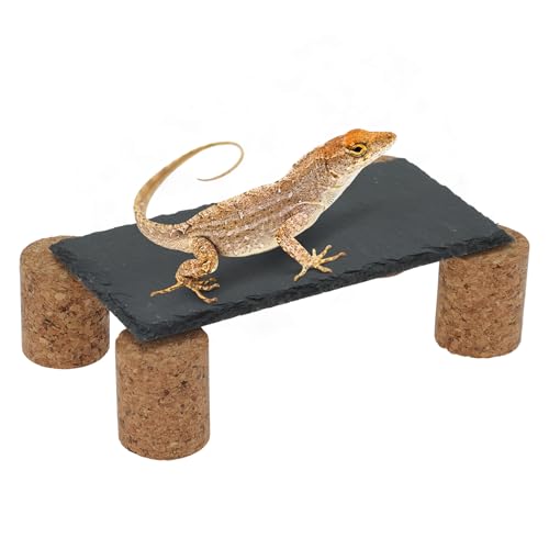 CAPASTEC Reptilien Schieferfelsen, Sonnenfläche für Reptilien, verbessert die Kletteraktivität, Schwarzgrau, 1 Set CAPASTEC Reptilien Schieferfelsen, Sonnenfläche für Reptilien, verbessert die Kletteraktivität, Schwarzgrau, 1 Set von CAPASTEC