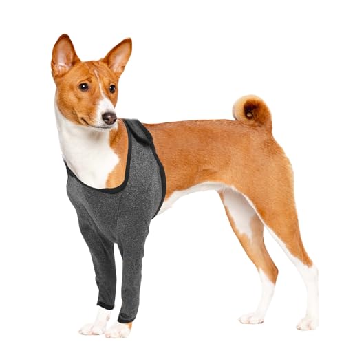 CAPASTEC Vorderbein Hülsen Für Hunde, Recovery Hülse Hund, Vorderbein Polster, Ellenbogen Bandage Schutz Für Hot Spots, Wunden, Bandagen, S, Grau CAPASTEC Vorderbein Hülsen Für Hunde, Recovery Hülse Hund, Vorderbein Polster, Ellenbogen Bandage Schutz Für Hot Spots, Wunden, Bandagen, S, Grau von CAPASTEC