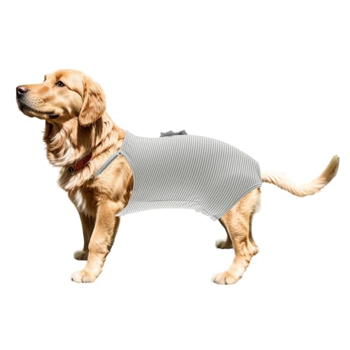 CAPASTEC Waschbare Wiederverwendbare Hundewindeln, Hundesuspenderhöschen, M, Grau CAPASTEC Waschbare Wiederverwendbare Hundewindeln, Hundesuspenderhöschen, M, Grau von CAPASTEC
