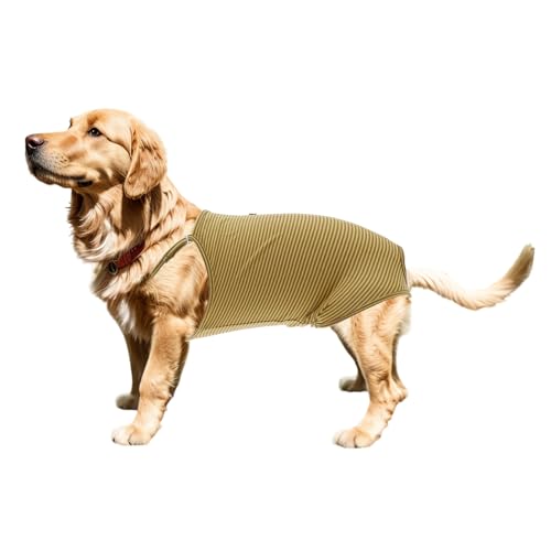 CAPASTEC Hundewindeln, physiologische Hosen mit verstellbarem Riemen, Overalls, Hosenträger, waschbar, wiederverwendbar, für kleine, mittelgroße Hunde und Katzen Gelb S CAPASTEC Hundewindeln, physiologische Hosen mit verstellbarem Riemen, Overalls, Hosenträger, waschbar, wiederverwendbar, für kleine, mittelgroße Hunde und Katzen Gelb S von CAPASTEC