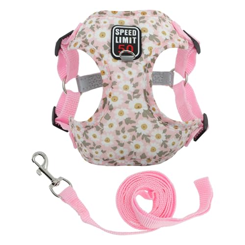 CAPASTEC Welpe Hundegeschirr und Leinenset Mit Reflektierenden Streifen Verstellbares Geschirr Für Spaziergänge Geschirr Für Kleine Und Mittlere Hunde Katzen M Pink CAPASTEC Welpe Hundegeschirr und Leinenset Mit Reflektierenden Streifen Verstellbares Geschirr Für Spaziergänge Geschirr Für Kleine Und Mittlere Hunde Katzen M Pink von CAPASTEC