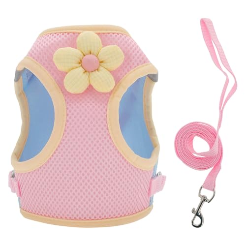 CAPASTEC Welpen Hundegeschirr und Leine Set mit reflektierendem Streifen, Magic Tapes Haustiergeschirr verstellbar für Spaziergänge, atmungsaktiv für kleine mittlere Hunde Katze, S, Pink CAPASTEC Welpen Hundegeschirr und Leine Set mit reflektierendem Streifen, Magic Tapes Haustiergeschirr verstellbar für Spaziergänge, atmungsaktiv für kleine mittlere Hunde Katze, S, Pink von CAPASTEC