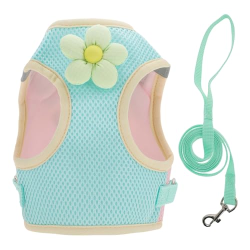 CAPASTEC Welpen Hundegeschirr und Leine Set mit reflektierendem Streifen, Magic Tapes Haustiergeschirr verstellbar für Spaziergänge, atmungsaktiv für kleine mittlere Hunde Katze, XL, Grün CAPASTEC Welpen Hundegeschirr und Leine Set mit reflektierendem Streifen, Magic Tapes Haustiergeschirr verstellbar für Spaziergänge, atmungsaktiv für kleine mittlere Hunde Katze, XL, Grün von CAPASTEC