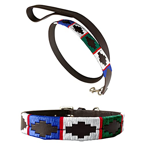CARLOS DIAZ Echtleder gewachstes gesticktes Polo-Hundehalsband + passende Leine L von CARLOS DIAZ