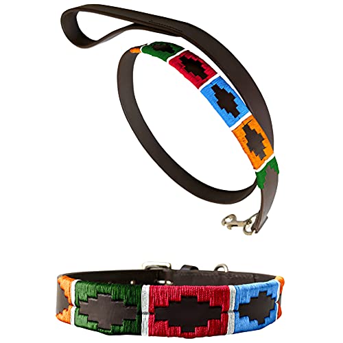 CARLOS DIAZ Echtleder gewachstes gesticktes Polo-Hundehalsband + passende Leine L von CARLOS DIAZ
