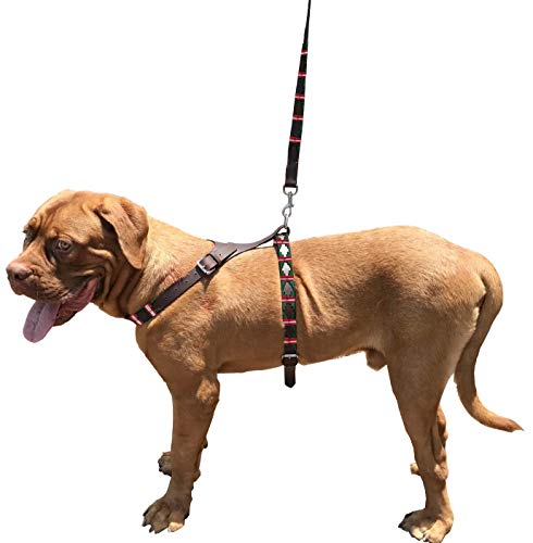 Carlos Diaz Hundegeschirr mit Leine, gewachst, bestickt, aus echtem Leder, leicht zu kontrollieren, kein Ziehen zurückziehen, Größe S Carlos Diaz Hundegeschirr mit Leine, gewachst, bestickt, aus echtem Leder, leicht zu kontrollieren, kein Ziehen zurückziehen, Größe S von CARLOS DIAZ