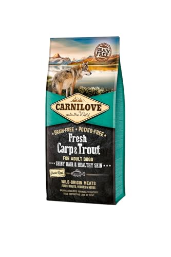 CARNILOVE Canine Adult Fresh CARPA TRUCHA Hair Skin 12KG CARNILOVE Canine Adult Fresh CARPA TRUCHA Hair Skin 12KG von CARNILOVE