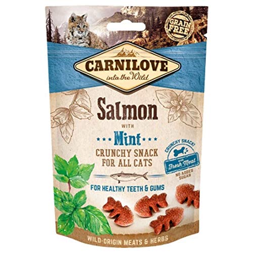 CARNILOVE Feline Crunchy Snack Lachs, Minze, 50 g CARNILOVE Feline Crunchy Snack Lachs, Minze, 50 g von CARNILOVE