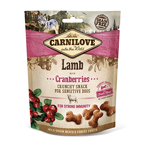 Carnilove Canine Crunchy Snack Lamm Blaubeeren Box 6 x 200 g 1200 g von CARNILOVE