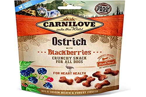 Carnilove Canine Crunchy Snack Strauß Brombeeren Box 6 x 200 g 1200 g von CARNILOVE