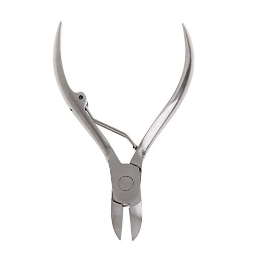 CASNO 10.0 cm Tooth Cutting Plier Stainless Steel Scissors Elbow Sharpener Pidgets Cl Stainless Steel Scissors Tongs von CASNO