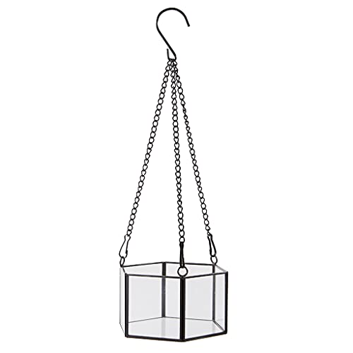 CASNO Modernes hängendes Glas-Terrarium, geometrisch, sechseckig, für Sukkulenten, Luftpflanzen, Behälter, Wand-Pflanzgefäß, Blumentopf, Fensterbank-Dekoration von CASNO