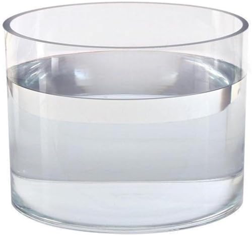 CASOME Rundes Transparentes Dickes Glas-Aquarium – 25x25x25 cm Fischbehälter, Hydroponische Vase für Büro oder Blumenladen, Feng Shui Dekoration, Zieht Reichtum an, Tisch-Aquarium fürs Wohnzimmer CASOME Rundes Transparentes Dickes Glas-Aquarium – 25x25x25 cm Fischbehälter, Hydroponische Vase für Büro oder Blumenladen, Feng Shui Dekoration, Zieht Reichtum an, Tisch-Aquarium fürs Wohnzimmer von CASOME