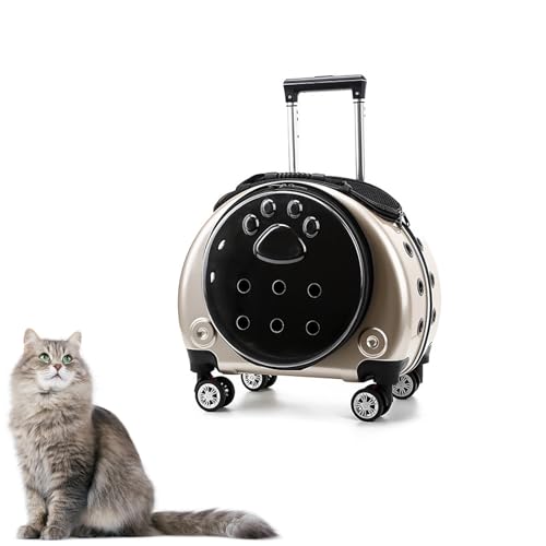 Katzenrucksack mit Rollen – Transparente & Atmungsaktive Transporttasche für Katzen, Abnehmbare Rollen & Belüftungslöcher, Mit Waschbarem Kissen(Gold) von CASOME
